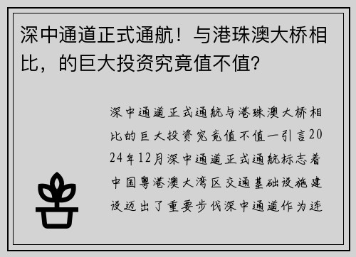 深中通道正式通航！与港珠澳大桥相比，的巨大投资究竟值不值？